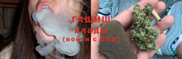 PSILOCYBIN Алзамай