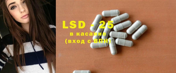 PSILOCYBIN Алзамай