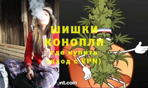 шишки Алексин