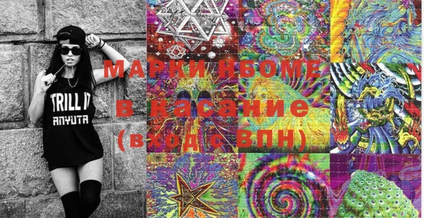 шишки Алексин