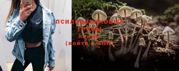 шишки Алексин