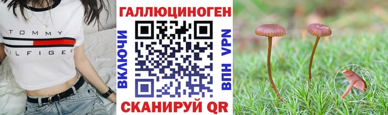 Псилоцибиновые грибы Psilocybine cubensis Балабаново