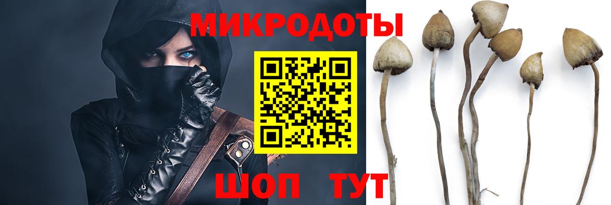 Псилоцибиновые грибы Magic Shrooms Балабаново